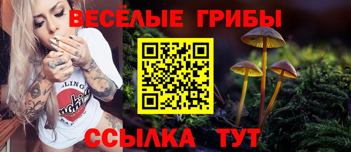 ГАШИШ  Лсд 25  MDMA  Купить наркотик  Мефедрон   Бийск  Вход с VPN  Канабис  НБОМе  ГАШИШ 