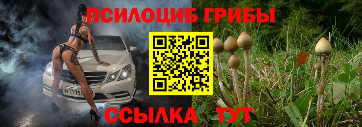 Псилоцибиновые грибы Magic Shrooms Бийск