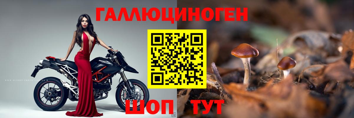 БУТИРАТ Бийск