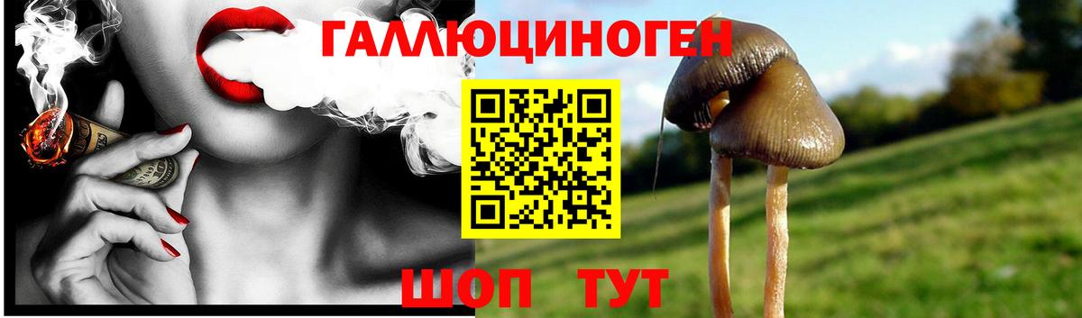 Галлюциногенные грибы ЛСД  Псилоцибиновые грибы прущие грибы  Вход с VPN  Бийск 